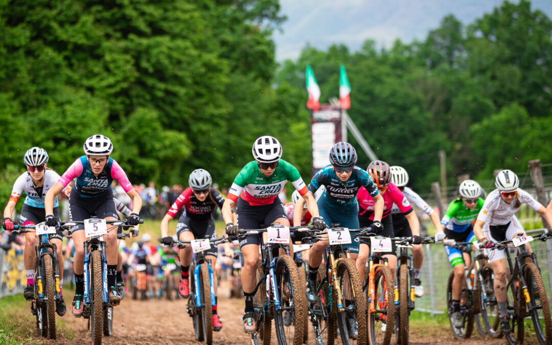 Internazionali d’Italia Series: Insights from the Leaders
